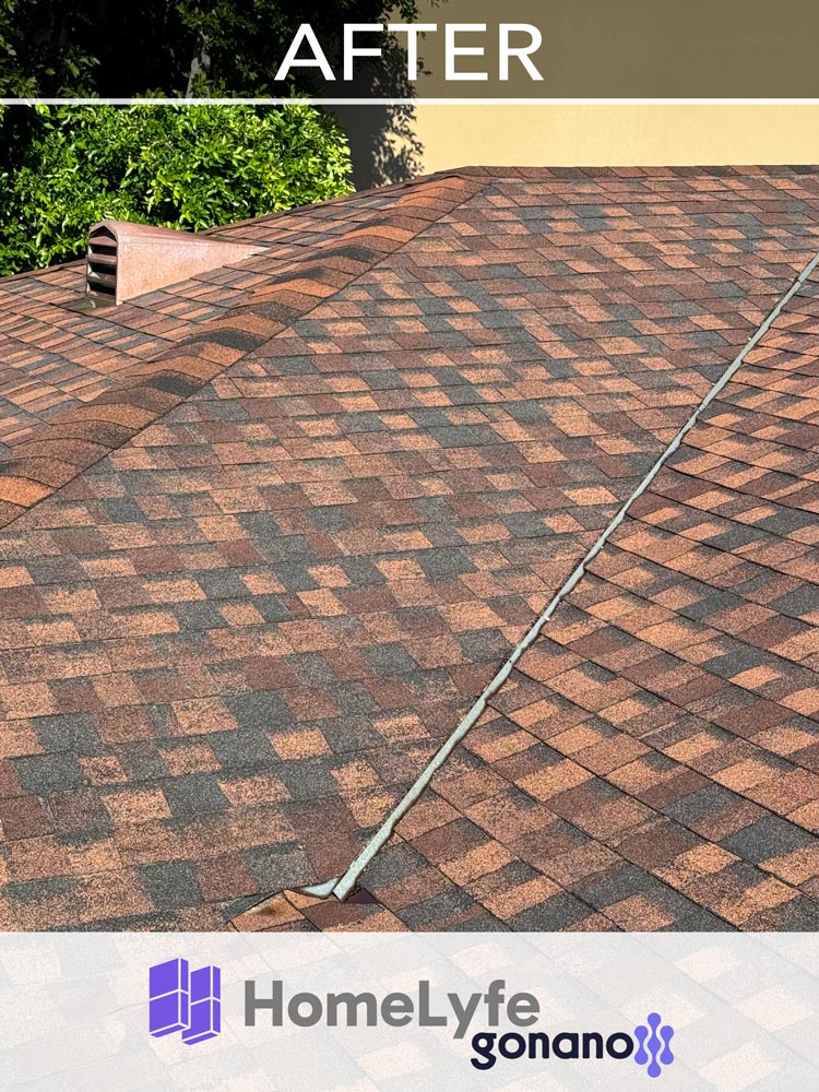 HomeLyfe Roofing With GoNano - After GoNano Treatment